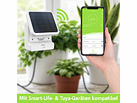 ; Terracotta-Bewässerungskugeln für Gartenbeete, Tonspitzen-Wasserspender für Topfpflanzen mit Flaschenaufsatz Terracotta-Bewässerungskugeln für Gartenbeete, Tonspitzen-Wasserspender für Topfpflanzen mit Flaschenaufsatz Terracotta-Bewässerungskugeln für Gartenbeete, Tonspitzen-Wasserspender für Topfpflanzen mit Flaschenaufsatz