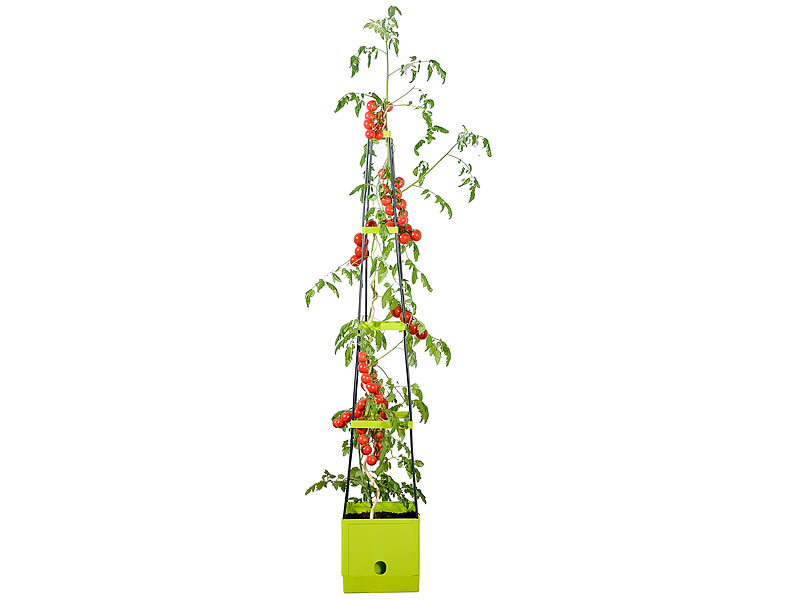 ; Thermo-Topfschutze für Kübelpflanzen Thermo-Topfschutze für Kübelpflanzen Thermo-Topfschutze für Kübelpflanzen 