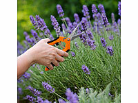 ; Griffe Pflanzen-Scheren Pflanzenscheren Rosen Blumenscheren cm mm l Lter, Gewürze Pflanzen Fleisch Blumen Fisch lagige S-Haken AufnängehakenObst klappbare zusammenklappbare faltbare Ebenen Kräuter Pflanzen GrowGarten-Scheren Erntescheren Blumen Gartenarbeiten Scheren KräuterscherenGartenscheren aus Edelstahl Metallringe Blüten Balkone schneide GärtnerKeller Gartenscheren kompakte Tees Geschenke Geschenkideen Sommer HerbstHaken Blumen Aufhänge Gemüse Mesh Reißverschlüsse hängende hängendeNetz-AbtropfgestelleNetz-Abtropfgestelle für KräuterKräutertrocknerKräuter-TrocknungsnetzeDrynets Griffe Pflanzen-Scheren Pflanzenscheren Rosen Blumenscheren cm mm l Lter, Gewürze Pflanzen Fleisch Blumen Fisch lagige S-Haken AufnängehakenObst klappbare zusammenklappbare faltbare Ebenen Kräuter Pflanzen GrowGarten-Scheren Erntescheren Blumen Gartenarbeiten Scheren KräuterscherenGartenscheren aus Edelstahl Metallringe Blüten Balkone schneide GärtnerKeller Gartenscheren kompakte Tees Geschenke Geschenkideen Sommer HerbstHaken Blumen Aufhänge Gemüse Mesh Reißverschlüsse hängende hängendeNetz-AbtropfgestelleNetz-Abtropfgestelle für KräuterKräutertrocknerKräuter-TrocknungsnetzeDrynets Griffe Pflanzen-Scheren Pflanzenscheren Rosen Blumenscheren cm mm l Lter, Gewürze Pflanzen Fleisch Blumen Fisch lagige S-Haken AufnängehakenObst klappbare zusammenklappbare faltbare Ebenen Kräuter Pflanzen GrowGarten-Scheren Erntescheren Blumen Gartenarbeiten Scheren KräuterscherenGartenscheren aus Edelstahl Metallringe Blüten Balkone schneide GärtnerKeller Gartenscheren kompakte Tees Geschenke Geschenkideen Sommer HerbstHaken Blumen Aufhänge Gemüse Mesh Reißverschlüsse hängende hängendeNetz-AbtropfgestelleNetz-Abtropfgestelle für KräuterKräutertrocknerKräuter-TrocknungsnetzeDrynets 